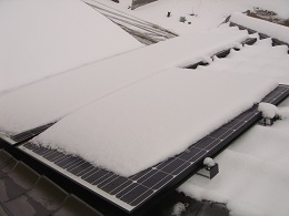 20100212-snow.jpg