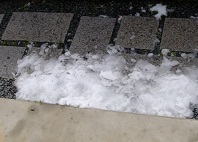 20100417-snow.jpg